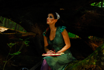 Donna Fullman Indie Folk songstress